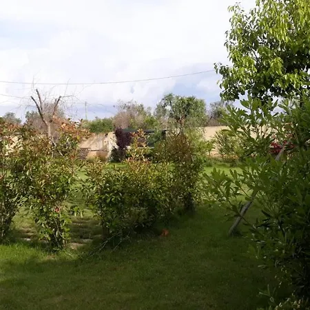 Terra E Colori 3* Gallipoli