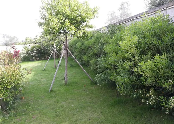 Terra E Colori Apartahotel Gallipoli